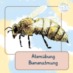 Die Bienenatmung - Brahmari 