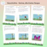 Geschichte - Selma, die kleine Raupe 